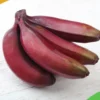 Red Banana Powder: Overview