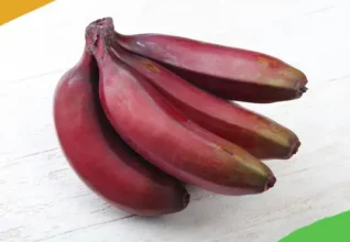 Red Banana Powder: Overview