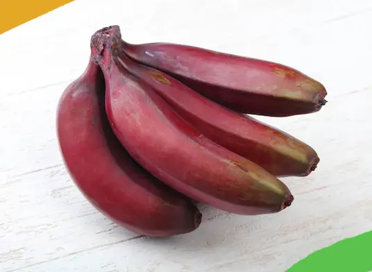 Red Banana Powder: Overview