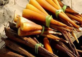 Palm Sprout Powder: A Traditional Ingredient with Modern Potential